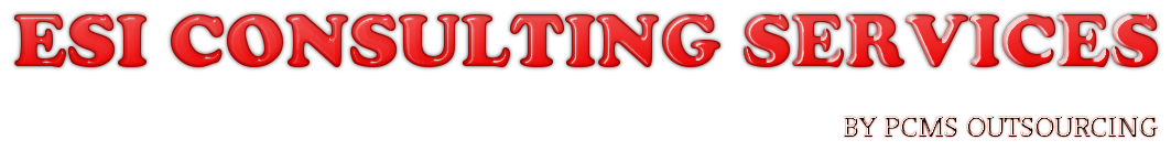 ESI CONSULTING SERVICES