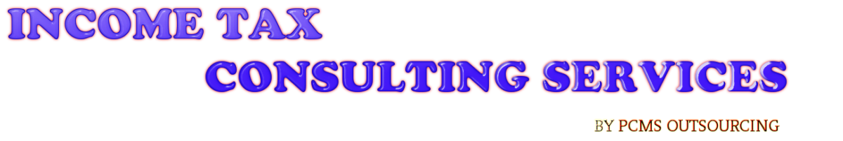 INCOME TAX CONSULTANT