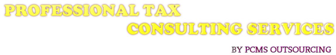 PROFESSIONAL TAX SERVICES